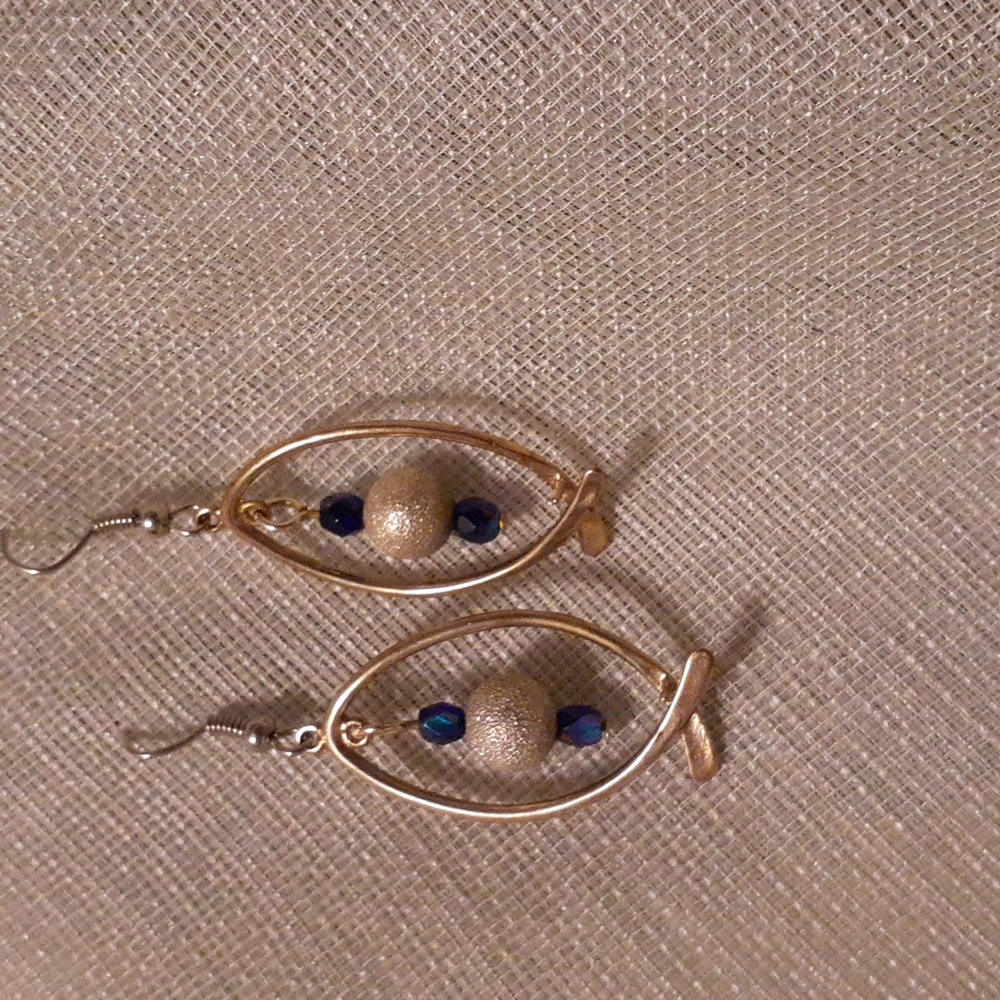 Earrings #301